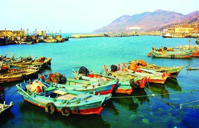 生化危机：浣熊市行动