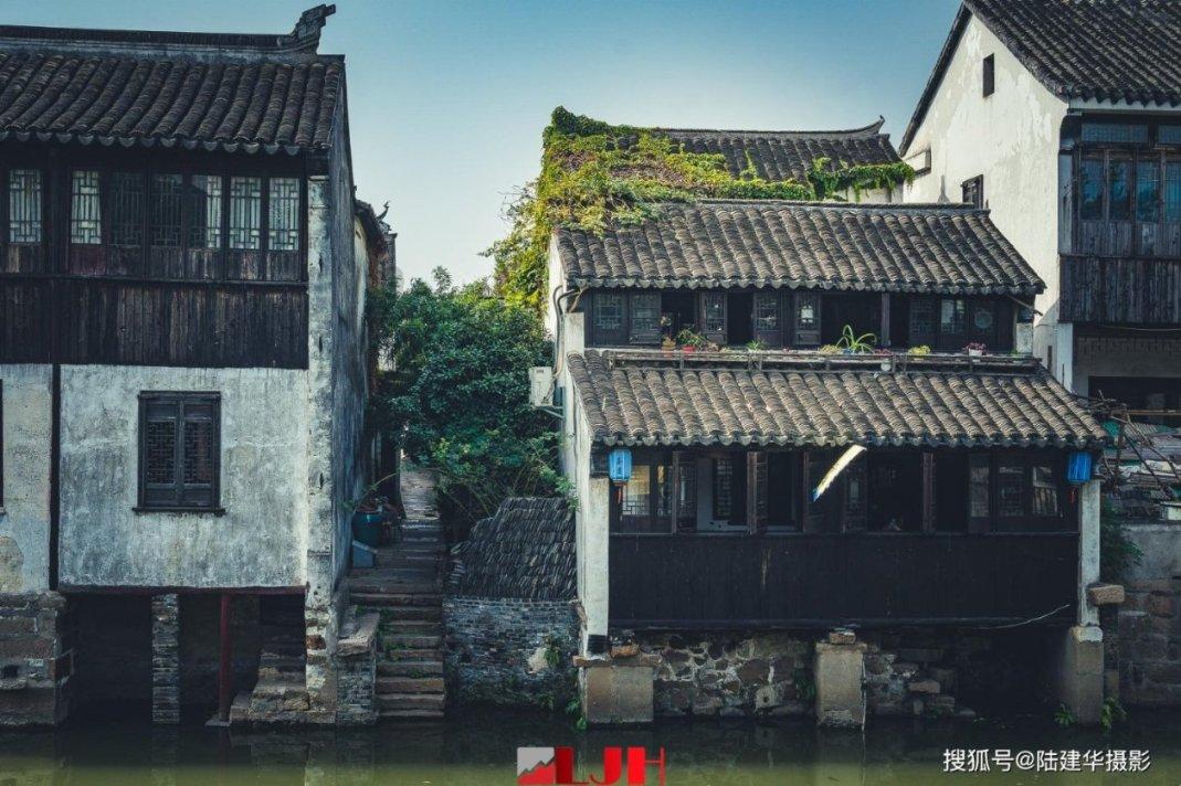 动物帮帮忙保卫家园